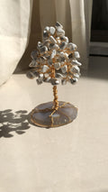 Árbol de la paz