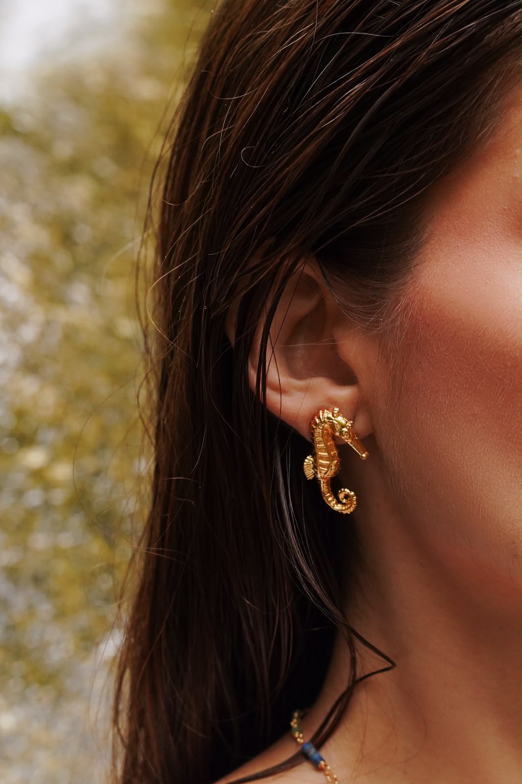 Aretes Guardián - Caballito de mar en cera perdida bronce dorado