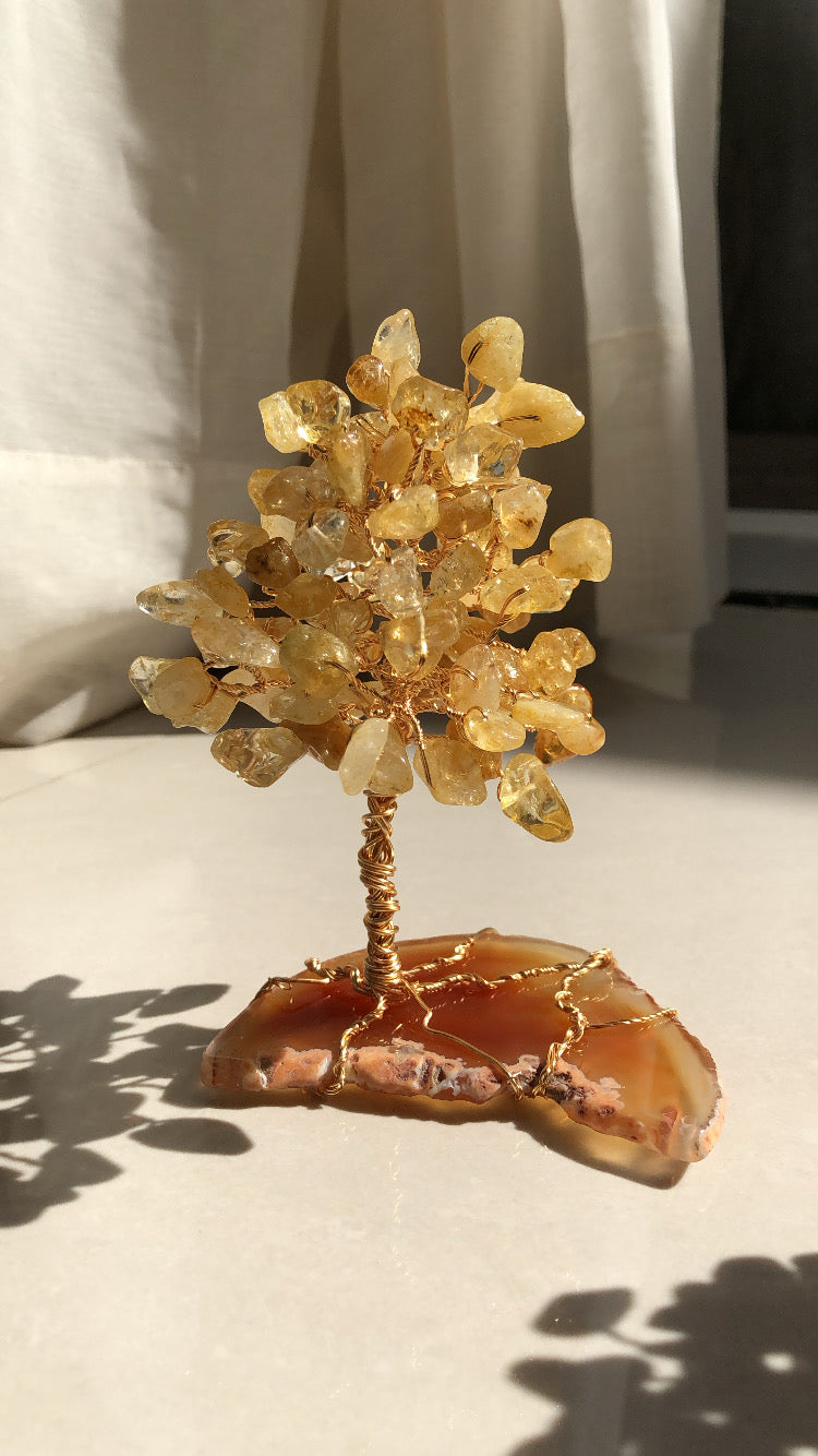 Árbol de la prosperidad