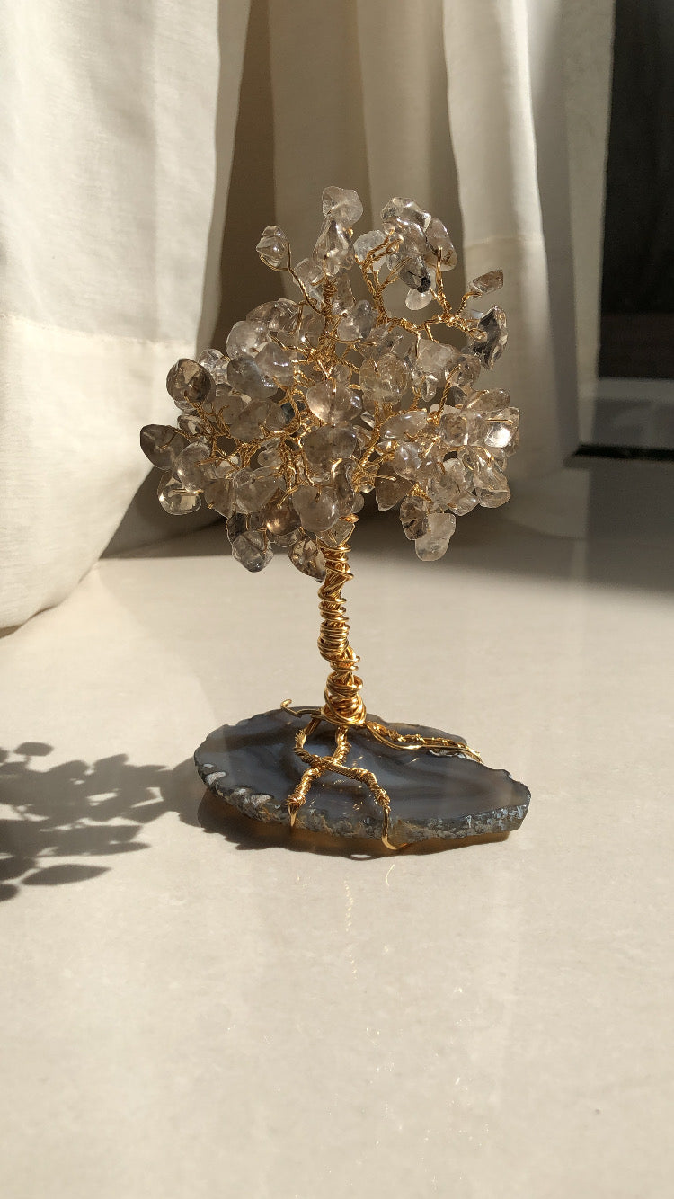 Árbol de la sabiduría