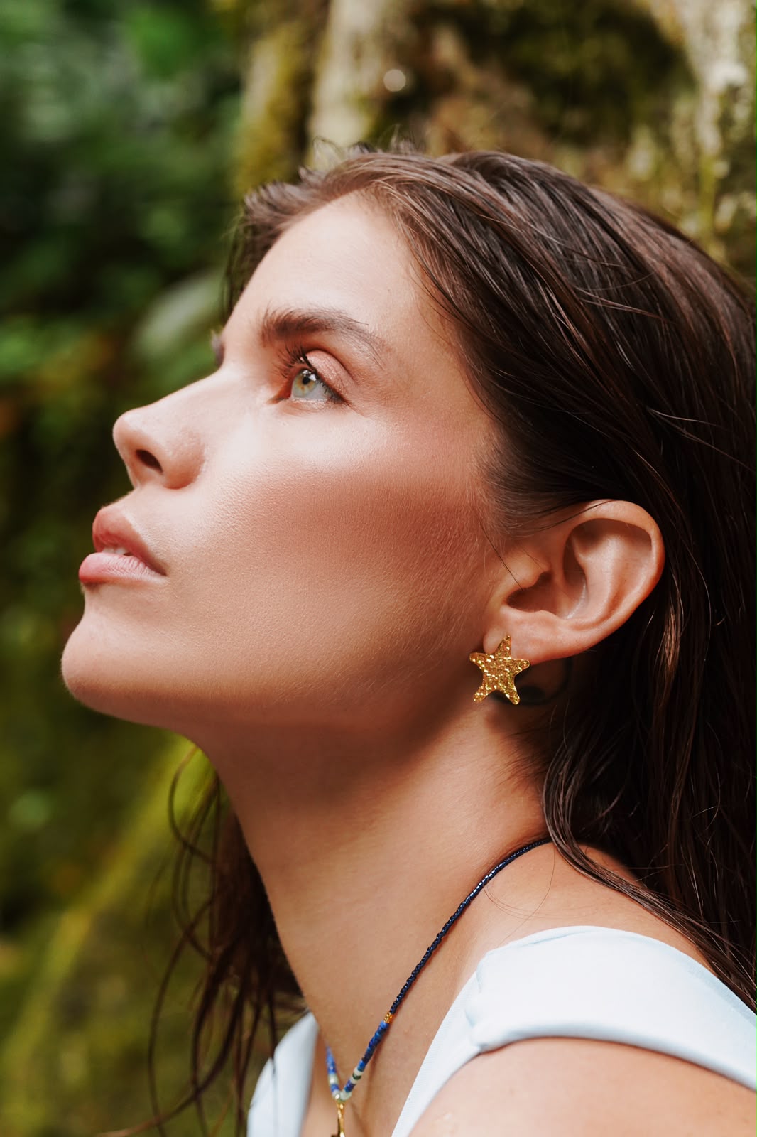 Topos Renacer Estrellas de Mar - Bronce con baño de oro 24k