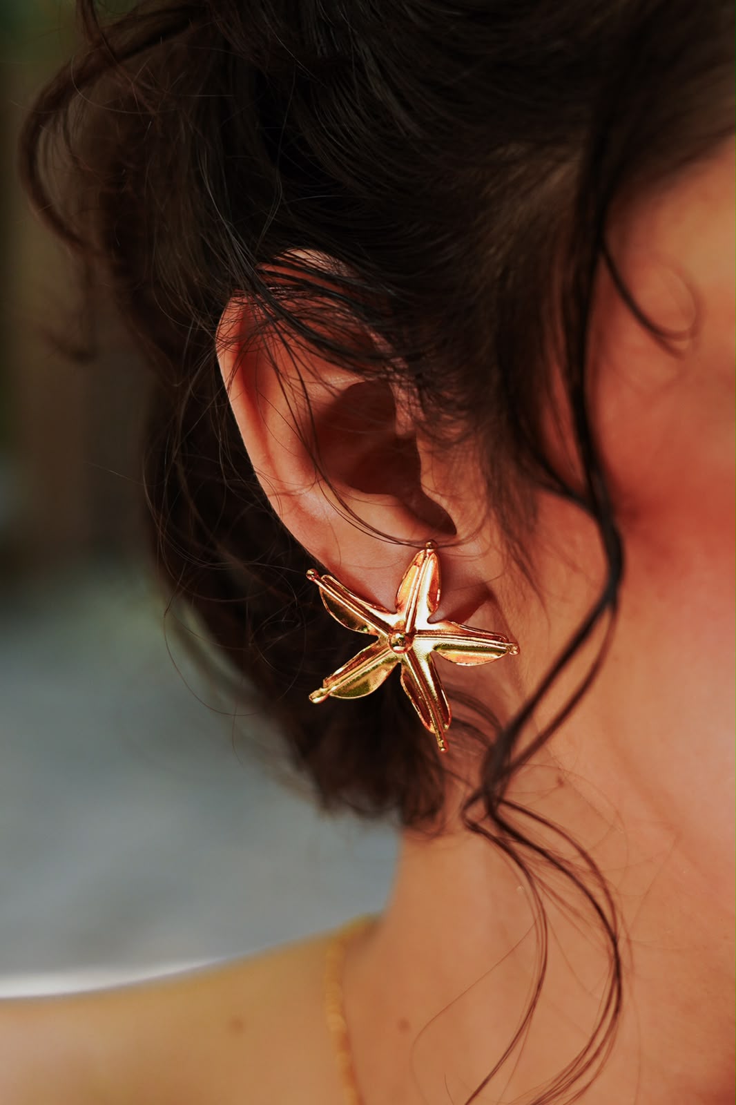 Arete topo flor alborada