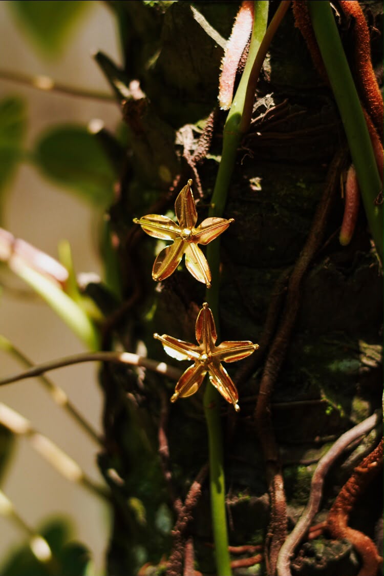 Arete topo flor alborada
